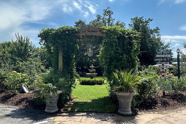 Home & Garden Reviews